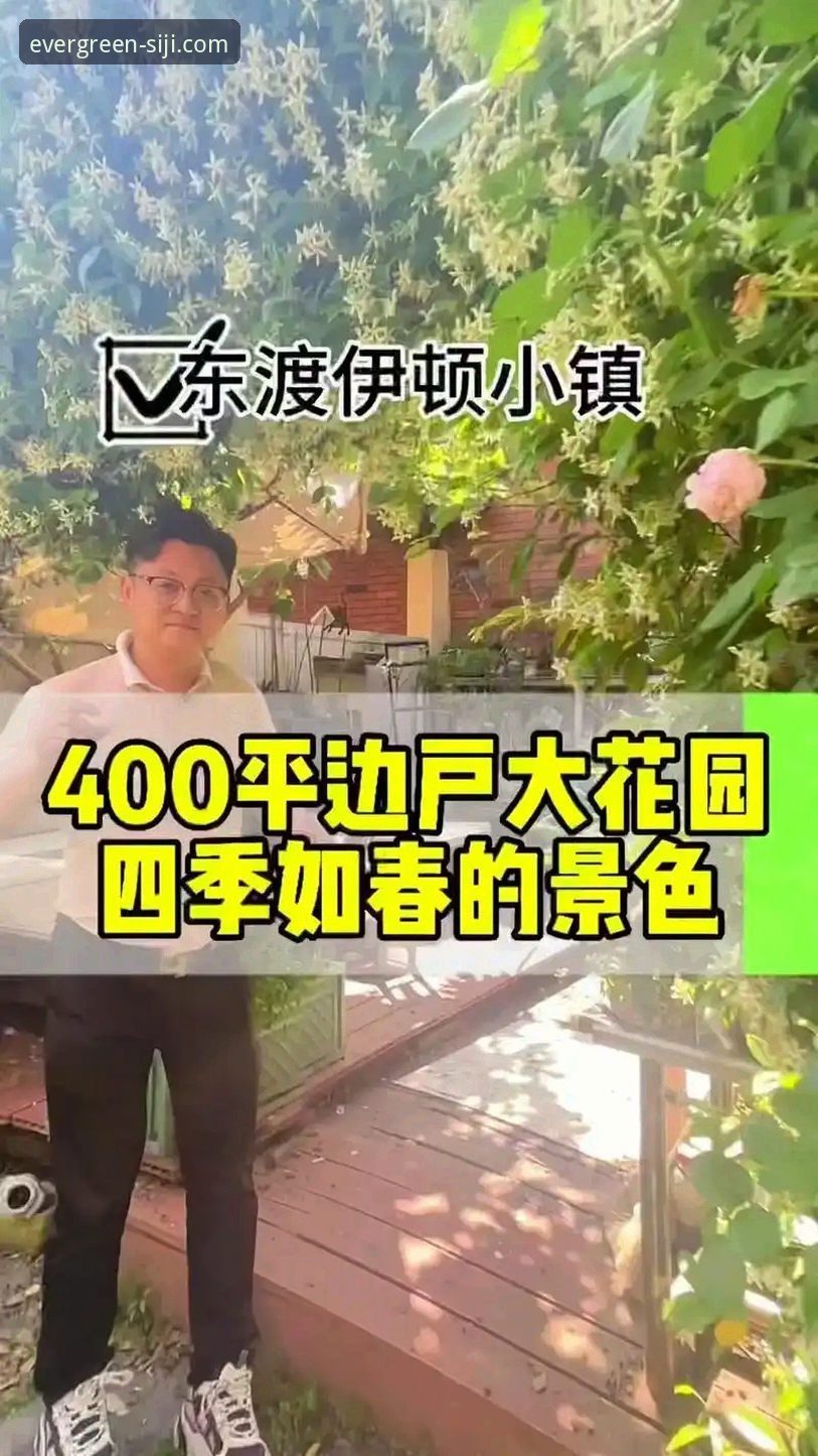 四季网站官方发布v2.1.0版本：深度解析“四季如春”理念与官方下载最新动态