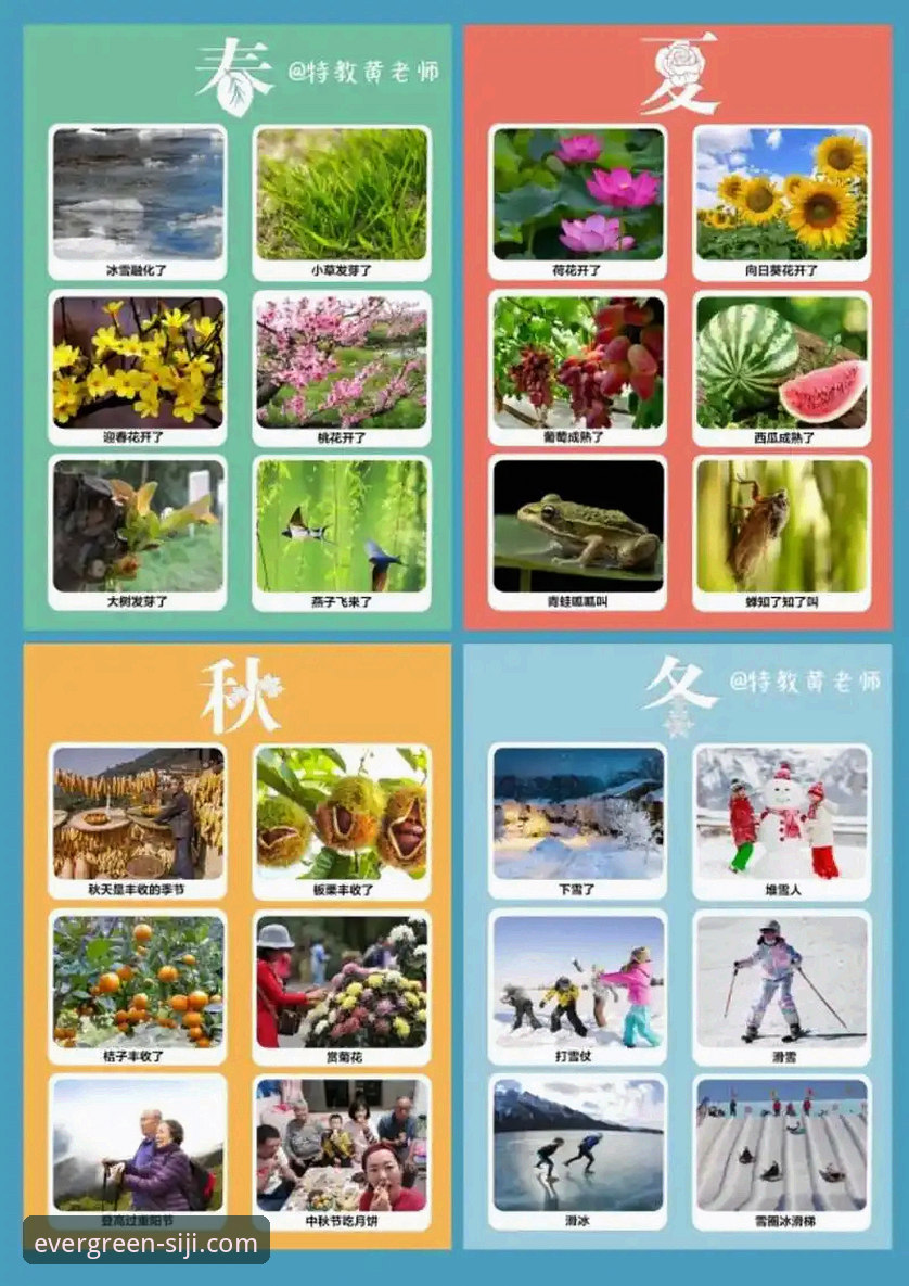 深度揭秘“四季网站官方”的如春体验：一份全面的四季如春含义攻略